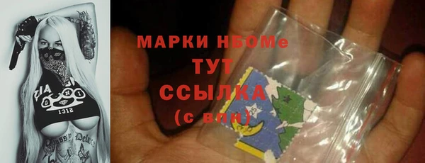 прущий лед Алзамай