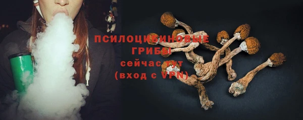 ПСИЛОЦИБИНОВЫЕ ГРИБЫ Алексеевка