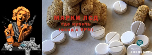 ПСИЛОЦИБИНОВЫЕ ГРИБЫ Алексеевка
