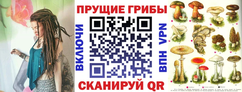 блэк спрут ССЫЛКА  продажа наркотиков  Анива  Псилоцибиновые грибы Psilocybe 